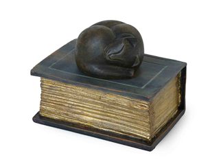 Cat on Book